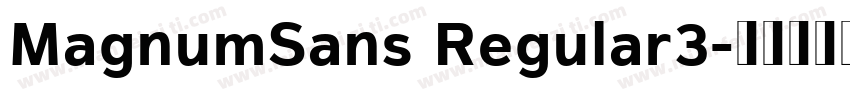 MagnumSans Regular3字体转换